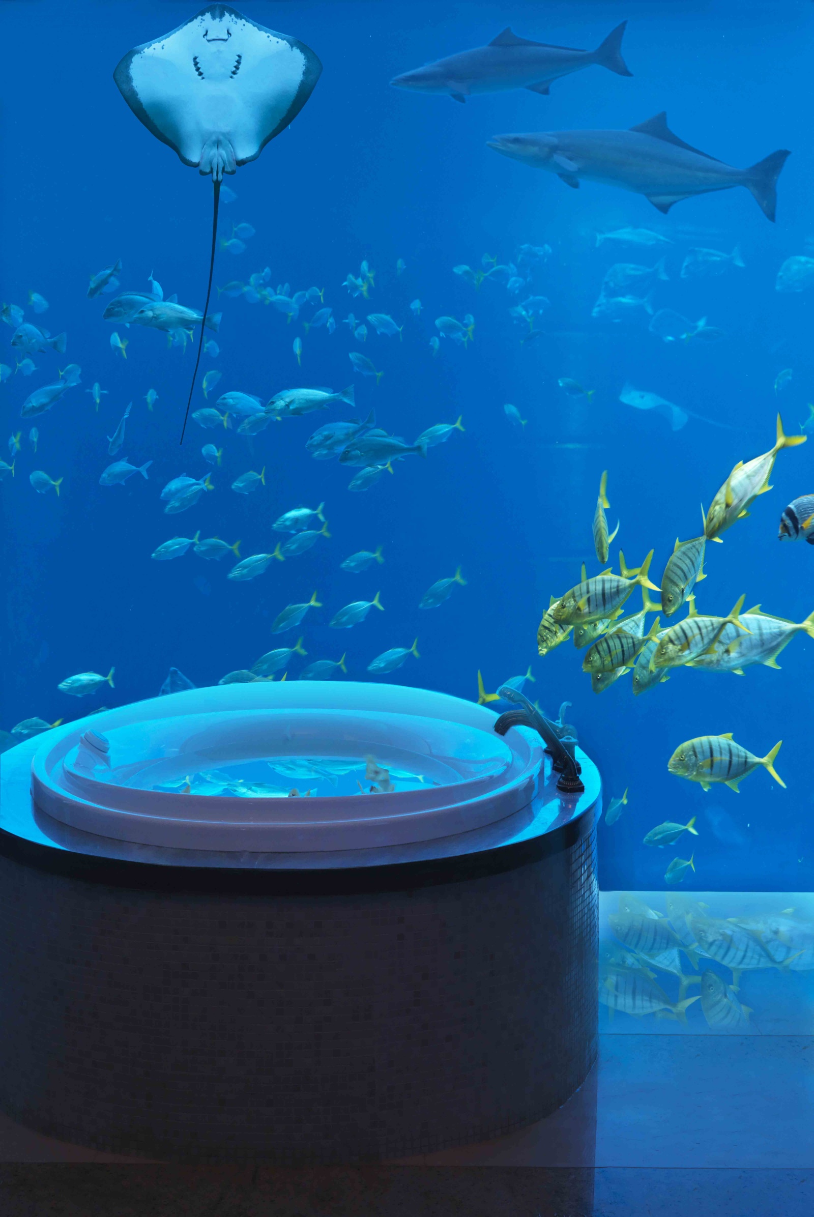 The Palace Of The Lost City >> Atlantis Hotel Dubai The Palace Of The Lost City >> Atlantis Hotel Dubai